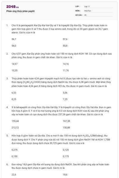 Phản ứng thủy phân peptit