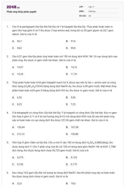 Phản ứng thủy phân peptit
