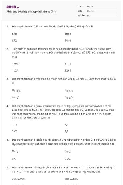 Phản ứng đốt cháy các hợp chất hữu cơ (P1)