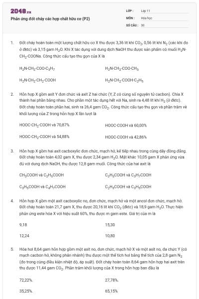 Phản ứng đốt cháy các hợp chất hữu cơ (P2)