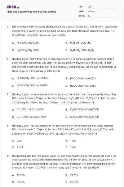 Phản ứng đốt cháy các hợp chất hữu cơ (P2)