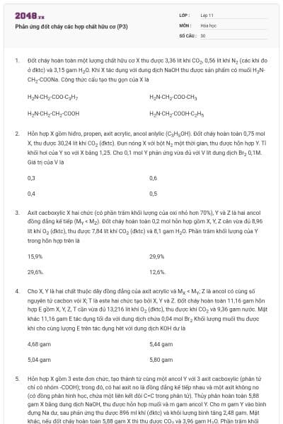 Phản ứng đốt cháy các hợp chất hữu cơ (P3)