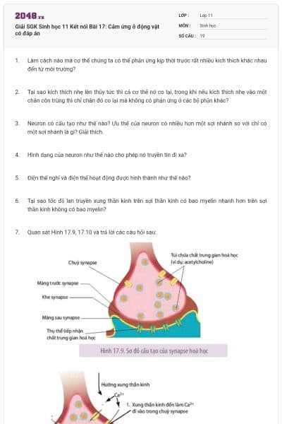 Giải SGK Sinh học 11 Kết nối Bài 17: Cảm ứng ở động vật có đáp án