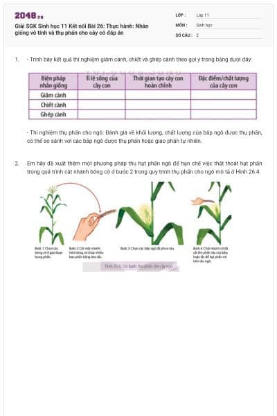 Giải SGK Sinh học 11 Kết nối Bài 26: Thực hành: Nhân giống vô tính và thụ phấn cho cây có đáp án
