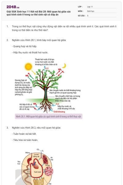 Giải SGK Sinh học 11 Kết nối Bài 28: Mối quan hệ giữa các quá trình sinh lí trong cơ thể sinh vật có đáp án