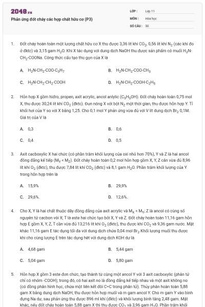 Phản ứng đốt cháy các hợp chất hữu cơ (P3)
