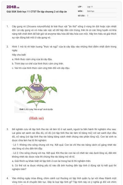 Giải SGK Sinh học 11 CTST Ôn tập chương 2 có đáp án