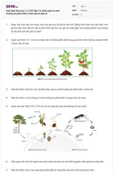 Giải SGK Sinh học 11 CTST Bài 19: Khái quát về sinh trưởng và phát triển ở sinh vật có đáp án