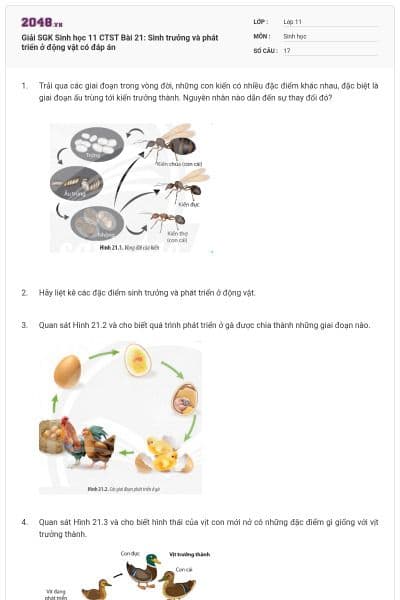 Giải SGK Sinh học 11 CTST Bài 21: Sinh trưởng và phát triển ở động vật có đáp án