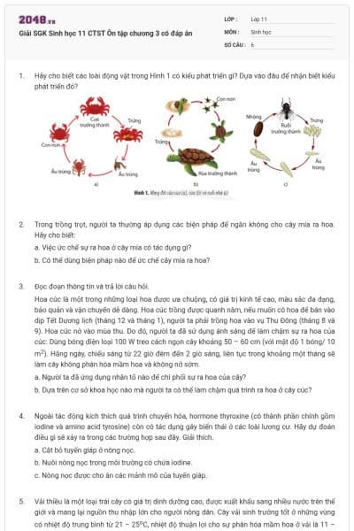 Giải SGK Sinh học 11 CTST Ôn tập chương 3 có đáp án