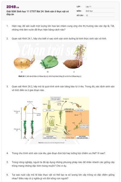 Giải SGK Sinh học 11 CTST Bài 24: Sinh sản ở thực vật có đáp án
