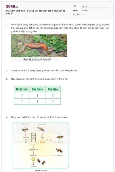 Giải SGK Sinh học 11 CTST Bài 26: Sinh sản ở thực vật có đáp án