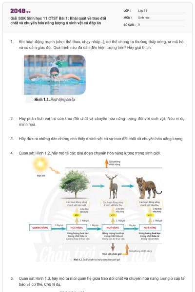 Giải SGK Sinh học 11 CTST Bài 1: Khái quát về trao đổi chất và chuyển hóa năng lượng ở sinh vật có đáp án