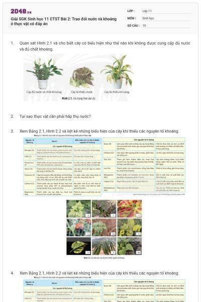 Giải SGK Sinh học 11 CTST Bài 2: Trao đổi nước và khoáng ở thực vật có đáp án