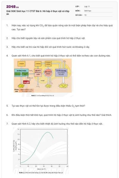 Giải SGK Sinh học 11 CTST Bài 6: Hô hấp ở thực vật có đáp án