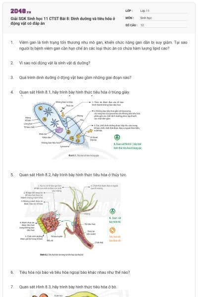 Giải SGK Sinh học 11 CTST Bài 8: Dinh dưỡng và tiêu hóa ở động vật có đáp án