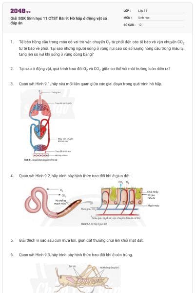 Giải SGK Sinh học 11 CTST Bài 9: Hô hấp ở động vật có đáp án