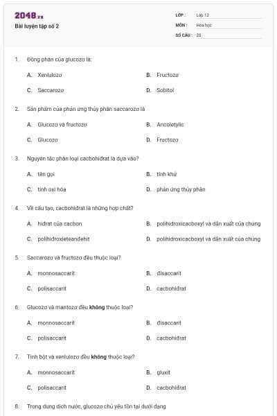 Bài luyện tập số 2