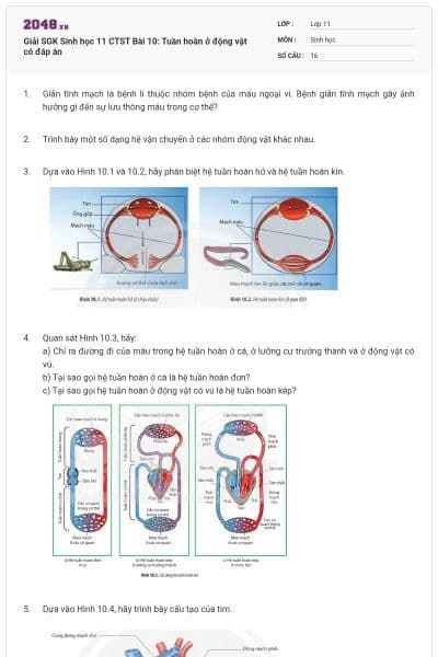 Giải SGK Sinh học 11 CTST Bài 10: Tuần hoàn ở động vật có đáp án
