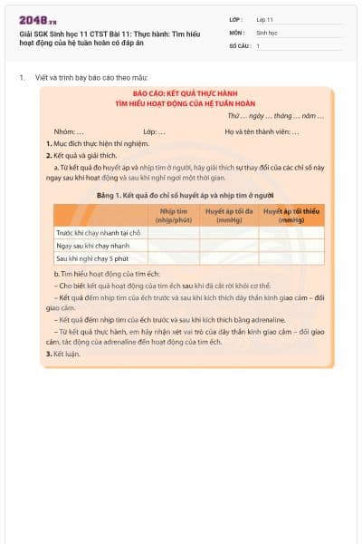 Giải SGK Sinh học 11 CTST Bài 11: Thực hành: Tìm hiểu hoạt động của hệ tuần hoàn có đáp án