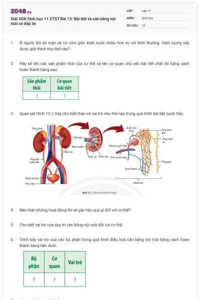 Giải SGK Sinh học 11 CTST Bài 13: Bài tiết và cân bằng nội môi có đáp án