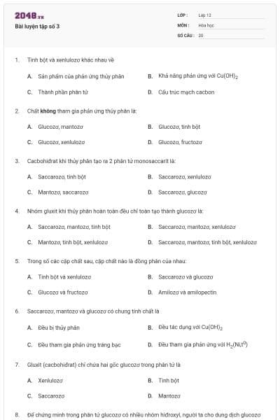 Bài luyện tập số 3