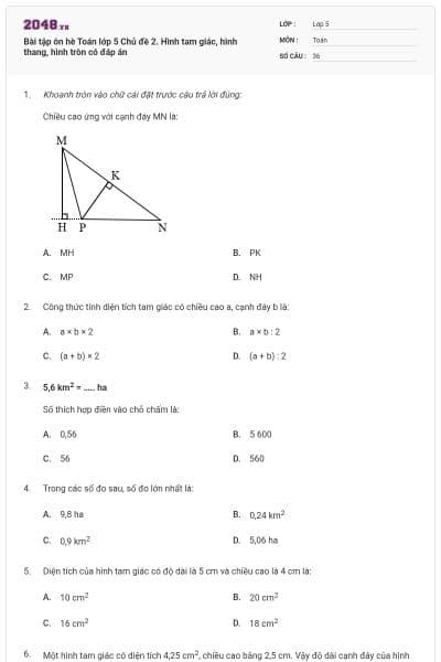Bài tập ôn hè Toán lớp 5 Chủ đề 2. Hình tam giác, hình thang, hình tròn có đáp án