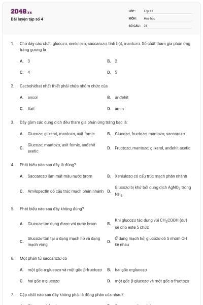 Bài luyện tập số 4