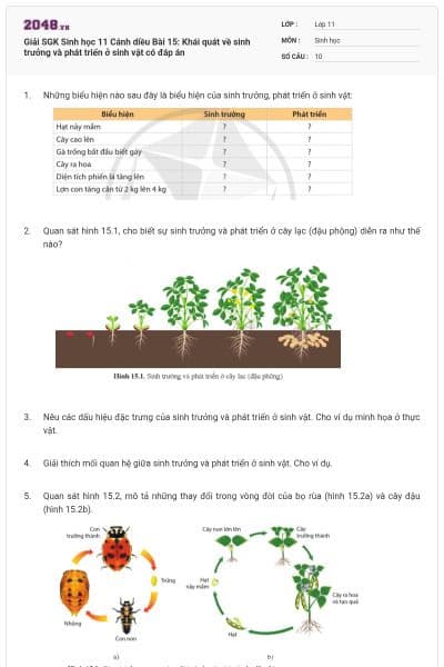 Giải SGK Sinh học 11 Cánh diều Bài 15: Khái quát về sinh trưởng và phát triển ở sinh vật có đáp án