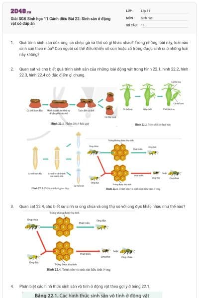 Giải SGK Sinh học 11 Cánh diều Bài 22: Sinh sản ở động vật có đáp án