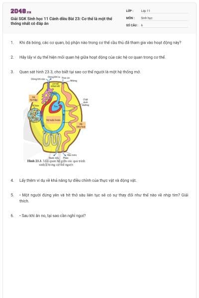 Giải SGK Sinh học 11 Cánh diều Bài 23: Cơ thể là một thể thống nhất có đáp án
