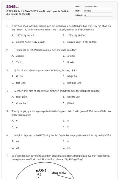 (2023) Đề thi thử Sinh THPT theo đề minh họa của Bộ Giáo dục có đáp án (Đề 34)