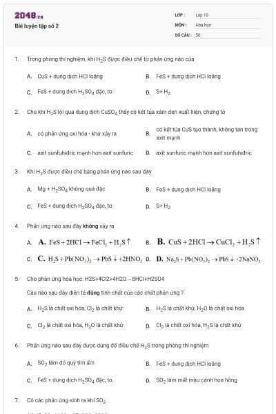 Bài luyện tập số 2