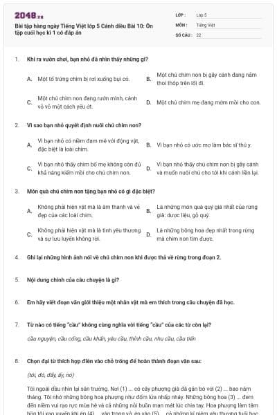 Bài tập hàng ngày Tiếng Việt lớp 5 Cánh diều Bài 10: Ôn tập cuối học kì 1 có đáp án