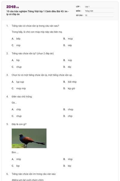 10 câu trắc nghiệm Tiếng Việt lớp 1 Cánh diều Bài 43: im - ip có đáp án