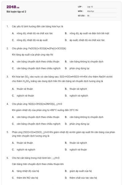 Bài luyện tập số 2