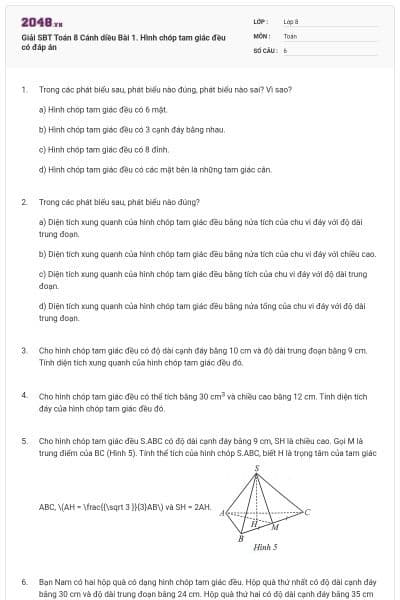 Giải SBT Toán 8 Cánh diều Bài 1. Hình chóp tam giác đều có đáp án