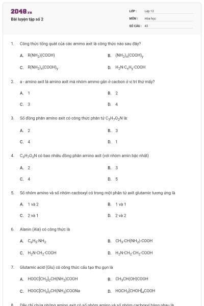 Bài luyện tập số 2