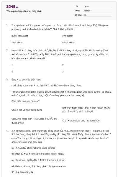 Tổng quan về phản ứng thủy phân