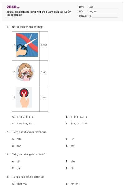 10 câu Trắc nghiệm Tiếng Việt lớp 1 Cánh diều Bài 63: Ôn tập có đáp án