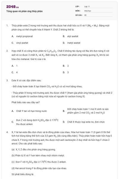 Tổng quan về phản ứng thủy phân