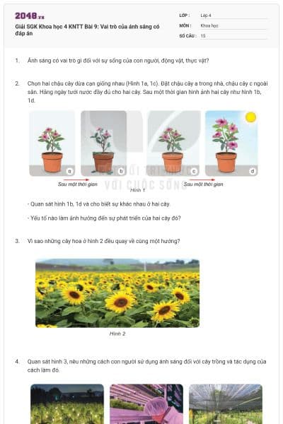 Giải SGK Khoa học 4 KNTT Bài 9: Vai trò của ánh sáng có đáp án