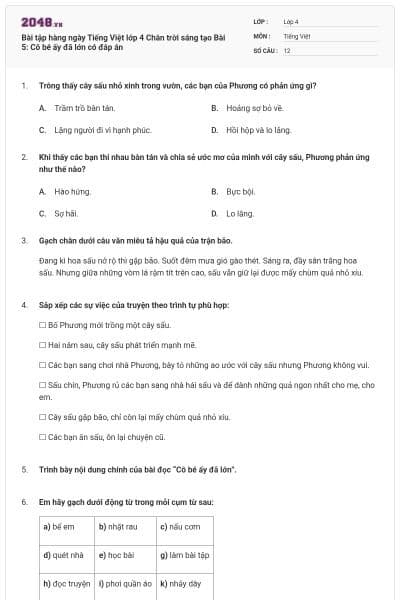 Bài tập hàng ngày Tiếng Việt lớp 4 Chân trời sáng tạo Bài 5: Cô bé ấy đã lớn  có đáp án