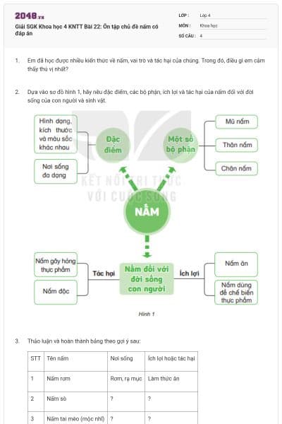 Giải SGK Khoa học 4 KNTT Bài 22: Ôn tập chủ đề nấm có đáp án
