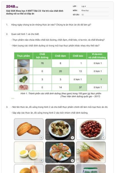 Giải SGK Khoa học 4 KNTT Bài 23: Vai trò của chất dinh dưỡng với cơ thể có đáp án