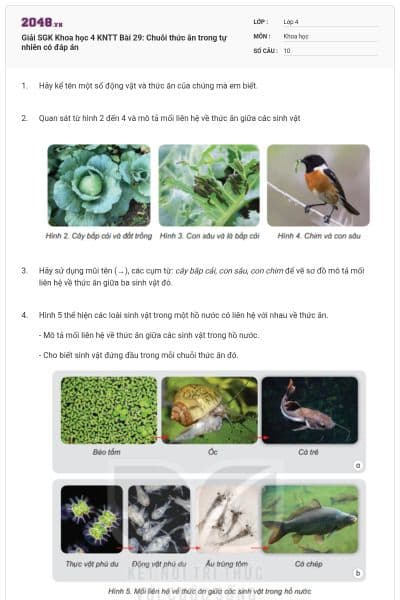 Giải SGK Khoa học 4 KNTT Bài 29: Chuỗi thức ăn trong tự nhiên có đáp án