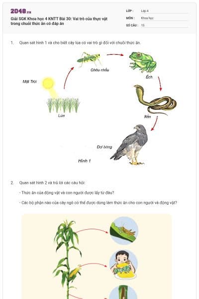 Giải SGK Khoa học 4 KNTT Bài 30: Vai trò của thực vật trong chuỗi thức ăn có đáp án