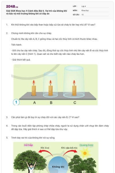 Giải SGK Khoa học 4 Cánh diều Bài 6. Vai trò của không khí và bảo vệ môi trường không khí có đáp án