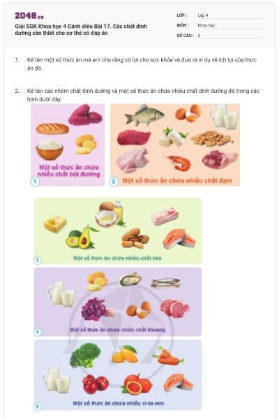 Giải SGK Khoa học 4 Cánh diều Bài 17. Các chất dinh dưỡng cần thiết cho cơ thể có đáp án