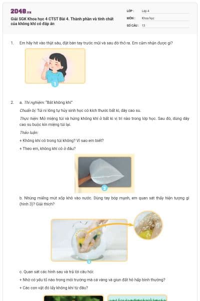 Giải SGK Khoa học 4 CTST Bài 4. Thành phần và tính chất của không khí có đáp án